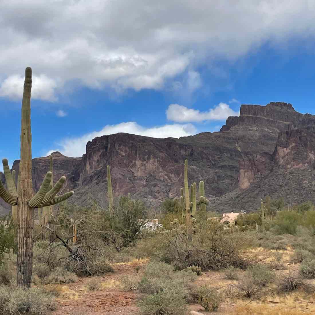 Apache Junction AZ