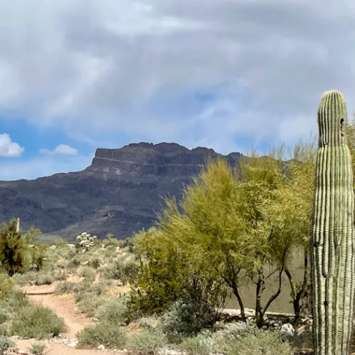 Gold Canyon in Pinal County AZ