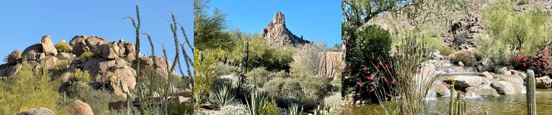 Scottsdale AZ