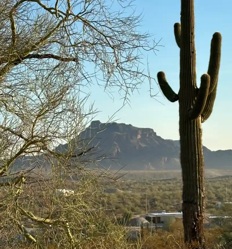 Mesa AZ site